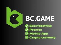 Discover the Exciting World of BC Fun -164174546 Discover the Exciting World of BC Fun -164174546